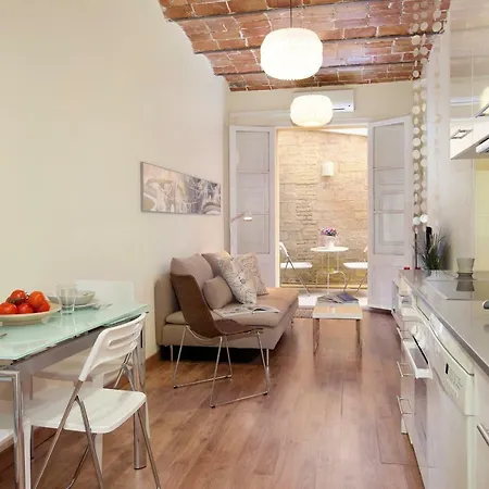 Con Gracia Apartment Barcelona